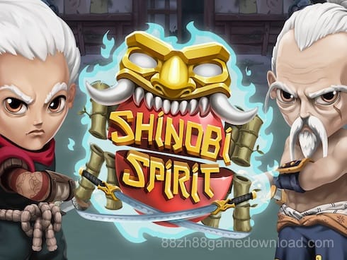 Shinobi Spirit
