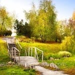 Avatar of Abdul Moiz